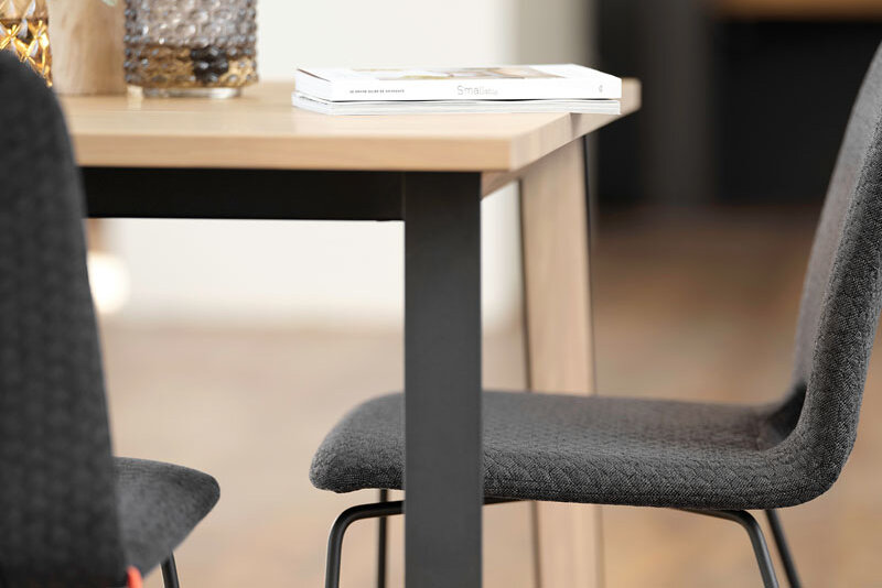 design-esstisch-goa-berlin-steglitz-4 design-esstisch-goa-berlin-steglitz-4